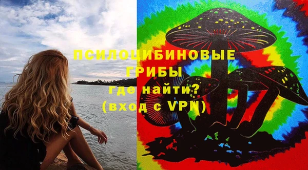 прущие грибы Верхнеуральск