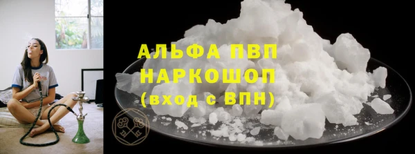 прущие грибы Верхнеуральск