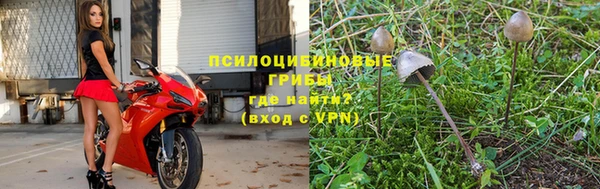 прущие грибы Верхнеуральск